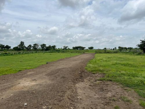 WhatsApp-Image-2025-09-21-at-6.11.45-PM