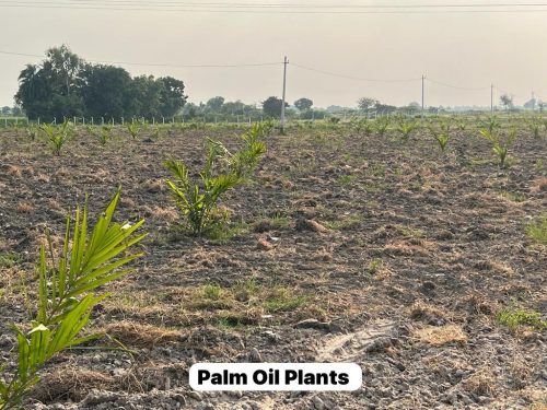 WhatsApp-Image-2025-09-21-at-7.34.52-PM-1