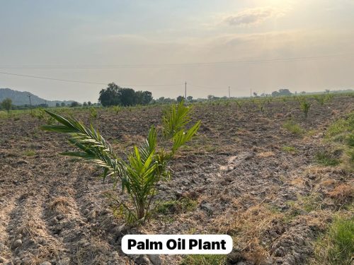 WhatsApp-Image-2025-09-21-at-7.34.52-PM