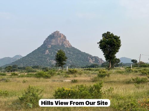 WhatsApp-Image-2025-09-21-at-7.34.54-PM-1