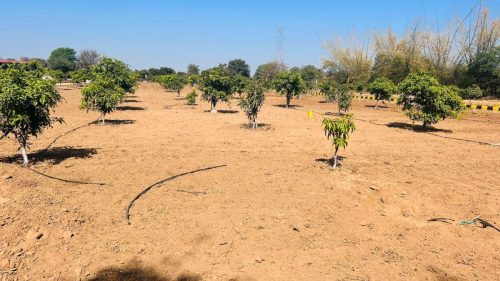 WhatsApp-Image-2025-09-21-at-7.37.53-PM-1