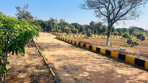 WhatsApp-Image-2025-09-21-at-7.37.53-PM